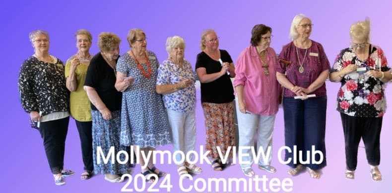 meet our 2024 committee